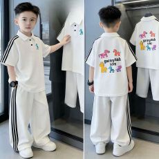 批发男<b class='q'>童</b><b class='q'>夏装</b>polo<b class='q'>衫</b>短袖套装2026新款中大<b class='q'>童</b>夏季休闲长裤儿<b class='q'>童</b>薄款帅气