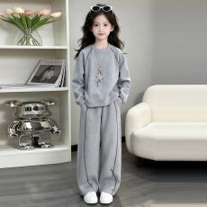 批发<b class='q'>女童</b>秋<b class='q'>装运</b>动套装2026新款超好看洋气时髦卫衣儿童春秋休闲两件套