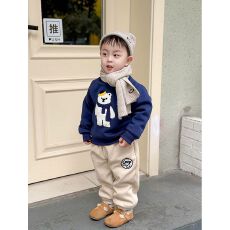 批发纯棉有后包领刺绣男<b class='q'>女</b><b class='q'>童</b>卫衣<b class='q'>套装</b>加绒加厚儿童卫裤小熊上衣两件套