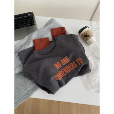 批发德绒<b class='q'>大码</b>300斤显白复古字母印花假两件T恤女洋气韩版长袖<b class='q'>打底衫</b>