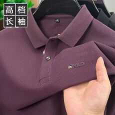 批发新中式<b class='q'>长袖</b>T恤休闲商务风POLO衫翻领中青年打底衫秋冬季新款上衣