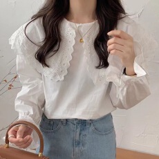 批发韩版洋气女上衣春装新款设计感<b class='q'>蕾丝</b>刺绣花边<b class='q'>衬衣</b>大翻领<b class='q'>衬衫</b>