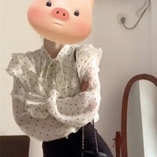 批发法式荷叶边波点<b class='q'>衬衫</b>女春秋2026新款高级感独特别致长袖上衣