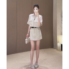 批发2026夏季巨好看衬衫<b class='q'>连衣裙</b>女高级感韩系时尚收腰显瘦<b class='q'>翻领</b>工装短裙