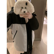 批发欧货重磅早秋<b class='q'>夏</b>季2026年新款女装户外冲锋衣高级感漂亮穿搭上衣潮