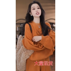 批发2025年女新款设计感气质百搭上衣