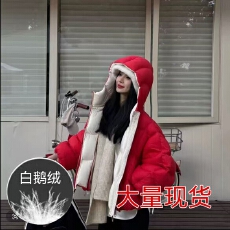 批发2025年女新款设计感气质冬季白鹅绒百搭外套