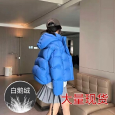 批发2025年女新款设计感气质冬季白鹅绒百搭外套