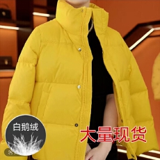 批发2025年女新款设计感气质冬季白鹅绒百搭外套