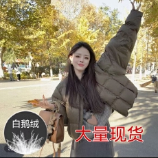 批发2025年女新款设计感气质冬季白鹅绒百搭外套