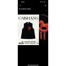 批发欧货潮2026新款时尚百搭个性小众设计感背心叠穿<b class='q'>真丝</b>丝绒重工马甲