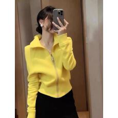 批发韩版洋气显白黄色立领拉链<b class='q'>短款</b><b class='q'>卫衣</b>女时尚修身显瘦气质高级感百搭