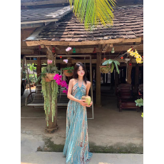 批发西双版纳<b class='q'>泰国</b>复古波西米亚挂脖吊带连衣裙女性感露背海边度假长裙