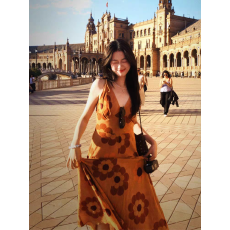 批发<b class='q'>泰国</b>旅行小众印花连衣裙适合海边度假拍照穿搭气质V领显白沙滩裙