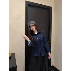 批发韩系复古设计感小众牛仔衬衫女秋季新款修身显瘦百搭长袖衬衣上衣