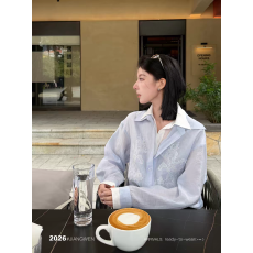 批发姜雯'南枝'蓝色假两件手工刺绣2026独特超好看<b class='q'>衬衫</b>女宽松通勤上衣