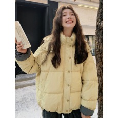批发2025<b class='q'>新款</b>韩系格子立领短款羽绒棉服女高级宽松百搭冬季保暖面包服