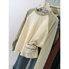 批发实拍设计感小众刺绣长袖T恤女秋冬宽松内搭打底衫德绒磨毛上衣服