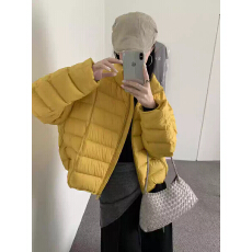 批发新国标90白鸭绒排骨羽绒服女短款新款韩版立领时髦简约面包服外套