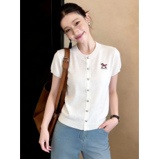 批发夏季新款针织短袖开衫t恤女<b class='q'>宽松</b>百搭圆领<b class='q'>打底衫</b>小马刺绣上衣半袖