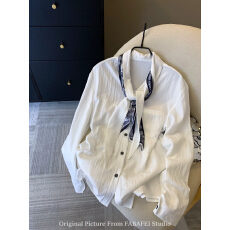 老钱风丝巾领带白色衬衫女春季设计感高级长袖衬衣法式遮肚子上衣