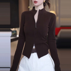 批发<b class='q'>大码</b>设计感立领双拉链短外套<b class='q'>女</b>秋季胖MM修身百搭显瘦高级感上衣