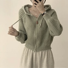 批发已出货 <b class='q'>韩国</b>chic连帽短款针织开衫上衣宽松慵懒风毛衣外套