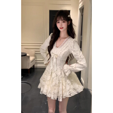 批发法式千金风高端精致V领<b class='q'>蕾丝</b><b class='q'>连衣裙</b>女装2025秋冬新款生日礼服a字裙