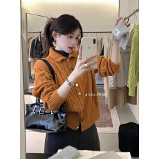 批发韩系减龄麻花纹针织开衫女秋<b class='q'>冬</b>季彩扣高领软糯休闲气质百搭毛衣