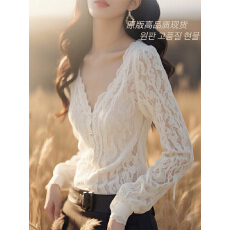 批发春季法式独特别致时尚洋气冷淡系轻奢高级感白色蕾丝V领衬衫女