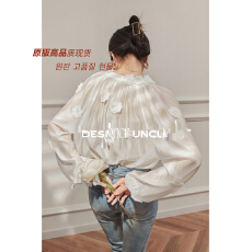 批发法式衬衫女茶歇设计感小众高级轻熟风灯笼袖绝美早春新款别致上衣