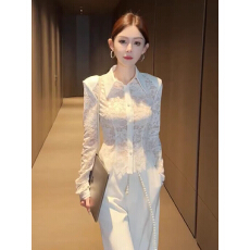 批发秋季绝美小<b class='q'>上衣</b>炸街独特漂亮小衫轻奢高级感减龄洋气白色<b class='q'>蕾丝</b>衬衫