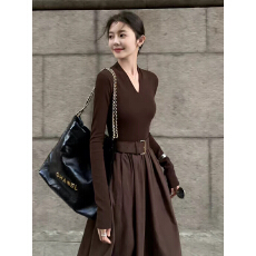 批发早秋女款2026年新款收腰a字高级感巨好看轻熟御姐感长袖连衣裙女