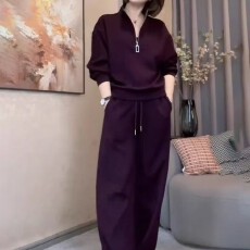 批发高级感紫色休闲套装女<b class='q'>秋</b>冬立领长袖卫衣阔腿裤显瘦减龄时尚两件套
