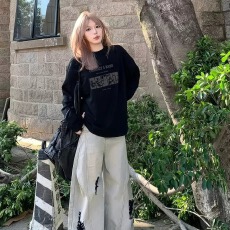批发官图 21支纯棉-210克 秋装<b class='q'>长袖</b><b class='q'>T</b><b class='q'>恤</b>女宽松上衣印花