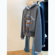 批发薄款卫衣女2026早春<b class='q'>新款</b>宽松设计感小狗刺绣连帽韩系上衣