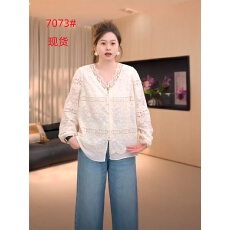 批发大码女装气质法式V领长袖蕾丝衬衫女春季胖mm显瘦遮肉巨百搭衬衣