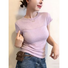 批发温柔风紫色圆领短袖<b class='q'>针织衫</b>女2026春季氛围感修身百搭套头针织上衣