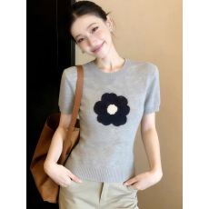 批发设计感灰色短袖<b class='q'>针织衫</b>女装2026新款今年流行爆款韩系chic早春上衣