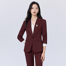 批发女神范气质西服套装女秋<b class='q'>冬</b>季新款时尚简约干练职业工作服西装外套