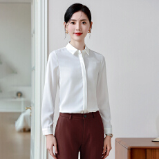 批发设计感气质职业女装<b class='q'>衬衫</b>2025秋季新款修身显瘦<b class='q'>OL</b>通勤百搭<b class='q'>衬衫</b>