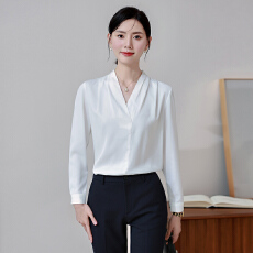 批发设计感气质职业女装<b class='q'>衬衫</b>2025秋季新款修身显瘦<b class='q'>OL</b>通勤百搭<b class='q'>衬衫</b>