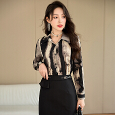 批发设计感气质职业女装<b class='q'>衬衫</b>2025秋季新款修身显瘦<b class='q'>OL</b>通勤百搭<b class='q'>衬衫</b>