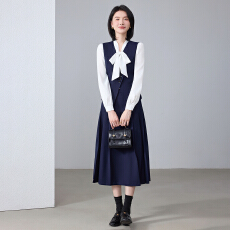 批发白领<b class='q'>职业</b>面试马夹女夏季薄款教师<b class='q'>职业</b>高级感正装职场马夹<b class='q'>连衣裙</b>