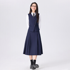 批发白领<b class='q'>职业</b>面试马夹女夏季薄款教师<b class='q'>职业</b>高级感正装职场马夹连衣裙