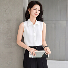 批发白领<b class='q'>职业</b>面试西<b class='q'>衬衫</b><b class='q'>女</b>夏季薄款教师<b class='q'>职业</b>高级感正装职场<b class='q'>衬衫</b>