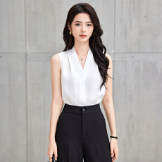 批发白领<b class='q'>职业</b>面试西<b class='q'>衬衫</b><b class='q'>女</b>夏季薄款教师<b class='q'>职业</b>高级感正装职场<b class='q'>衬衫</b>