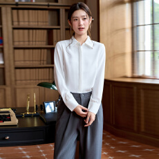 批发白领<b class='q'>职业</b>面试西<b class='q'>衬衫</b><b class='q'>女</b>夏季薄款教师<b class='q'>职业</b>高级感正装职场<b class='q'>衬衫</b>