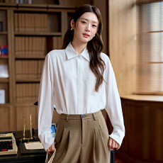 批发白领<b class='q'>职业</b>面试西<b class='q'>衬衫</b><b class='q'>女</b>夏季薄款教师<b class='q'>职业</b>高级感正装职场<b class='q'>衬衫</b>