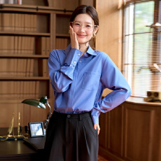 批发白领<b class='q'>职业</b>面试西<b class='q'>衬衫</b><b class='q'>女</b>夏季薄款教师<b class='q'>职业</b>高级感正装职场<b class='q'>衬衫</b>